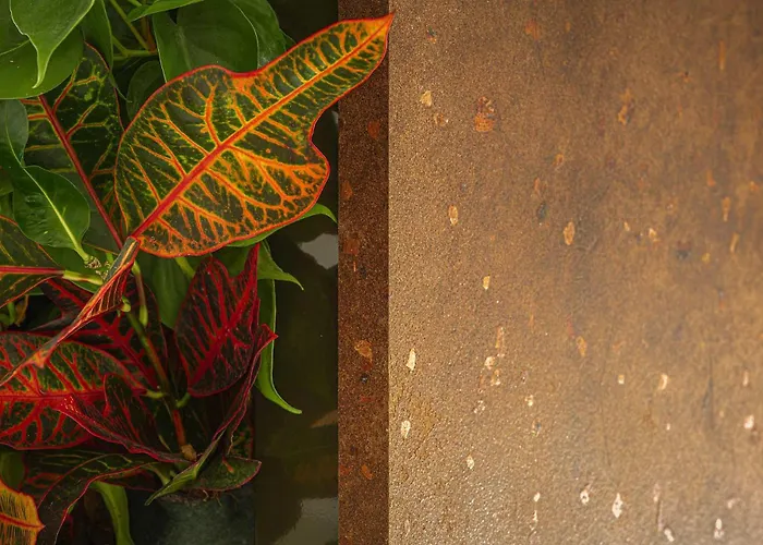 Costa Rica Готель